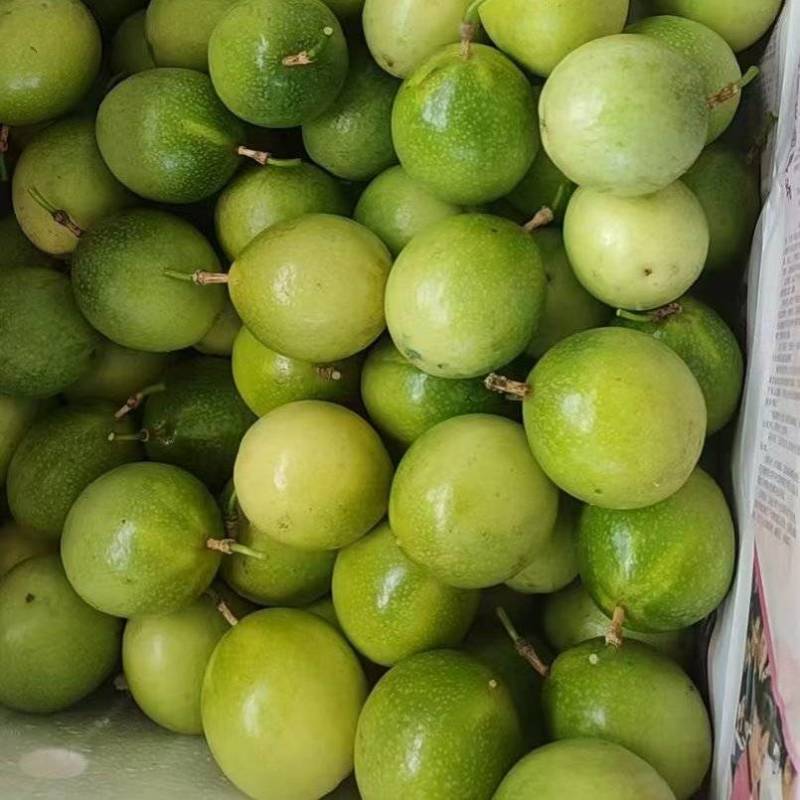 钦蜜9号黄金百香果大量现货-产地直供-市场果-电商果
