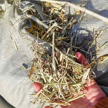 花生秧吉林干花生秧2-3公分除模小草产地直供一手货源