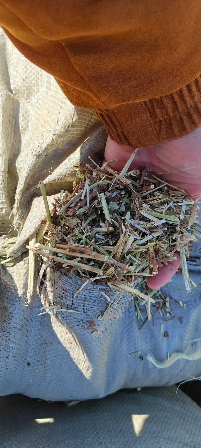 花生秧吉林干花生秧2-3公分除模小草产地直供一手货源