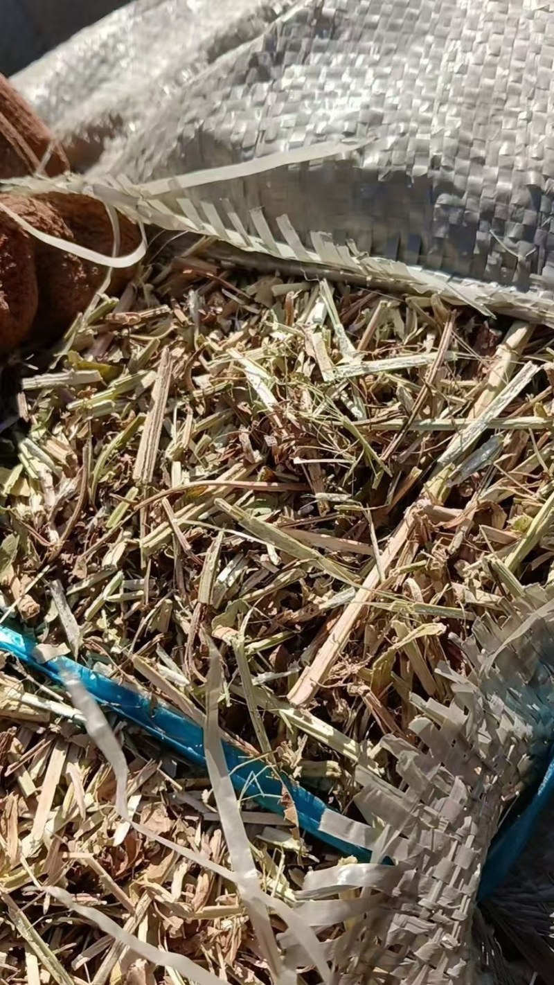 花生秧吉林干花生秧2-3公分除模小草产地直供一手货源