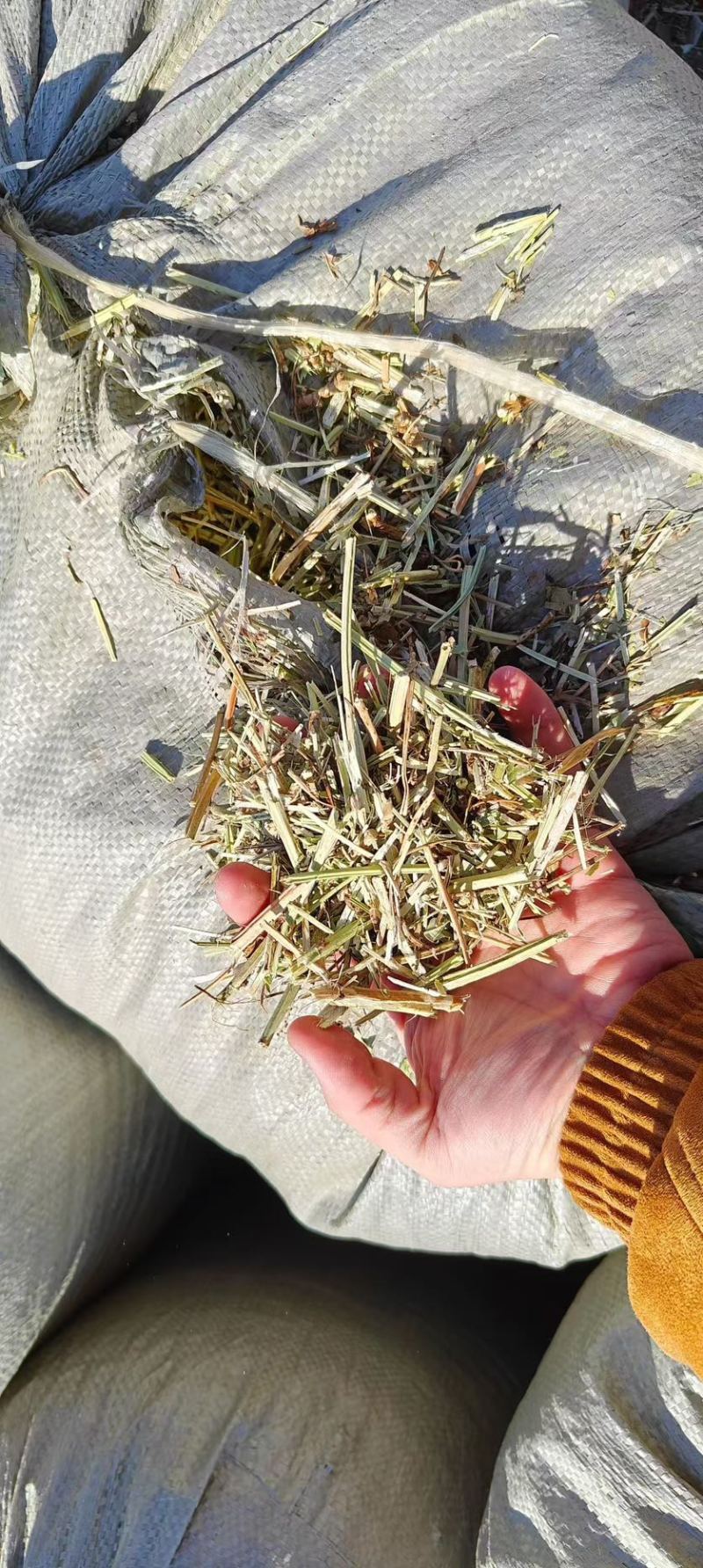 花生秧吉林干花生秧2-3公分除模小草产地直供一手货源