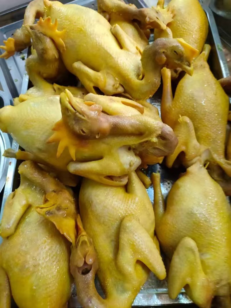 五毛桃咸香鸡大量从优，电商从优，新鲜上市品质保证