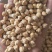 鹰嘴豆中颗粒大颗粒高质量色选品质！！