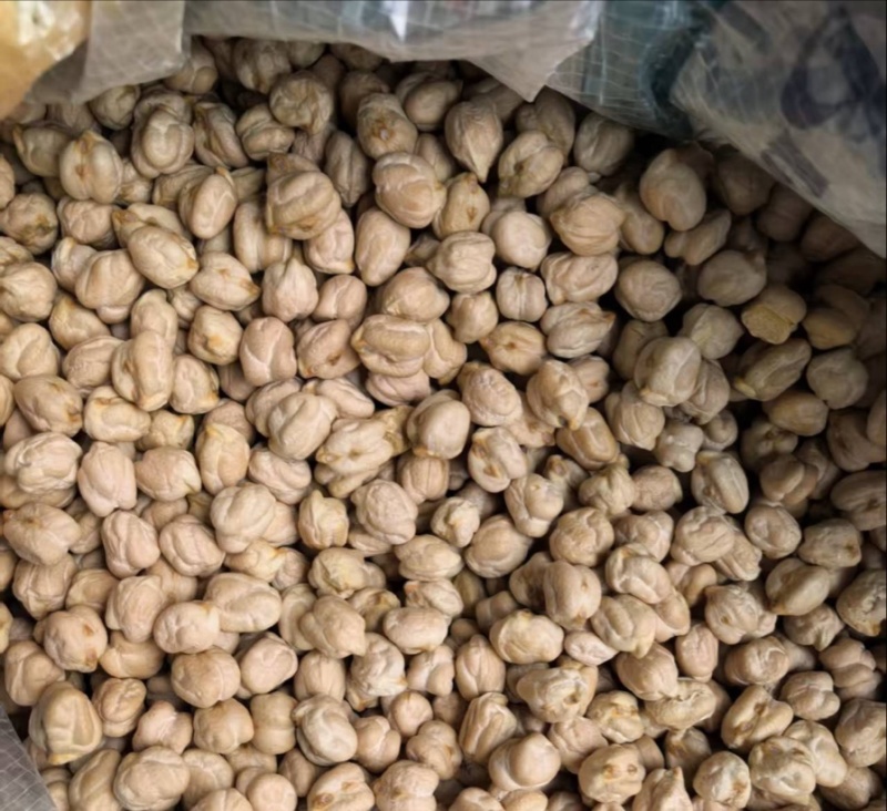鹰嘴豆中颗粒大颗粒高质量色选品质！！