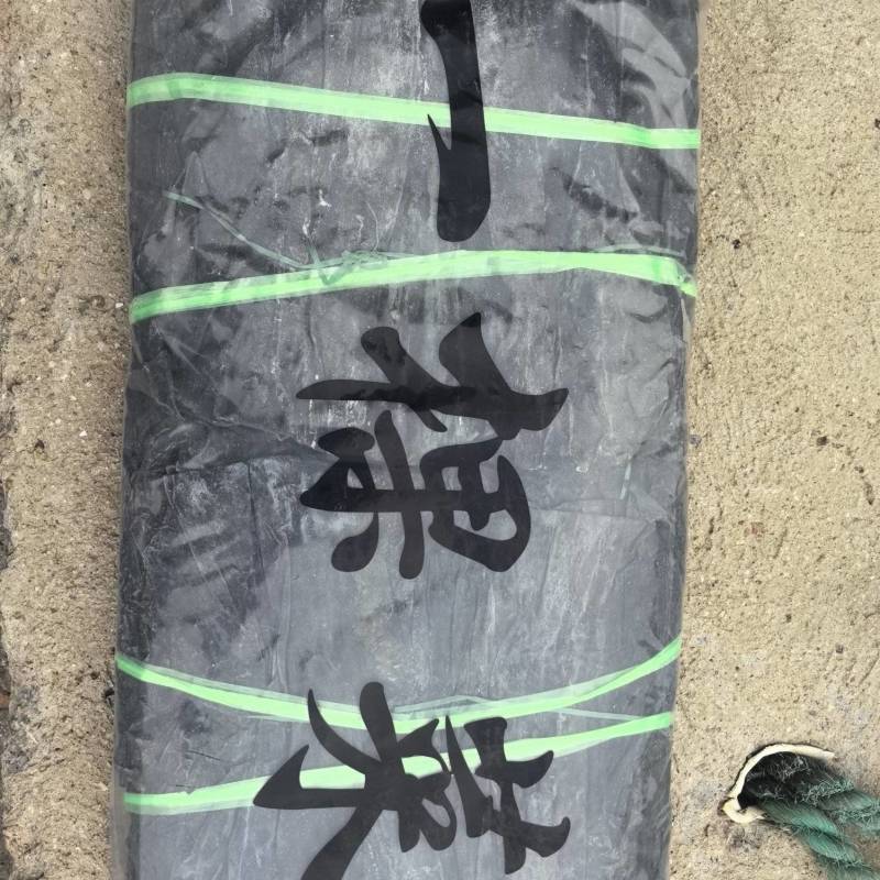 干海带，一棵菜