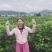 百香果，钦蜜9号百香果基地直发量大从优供应全国市场