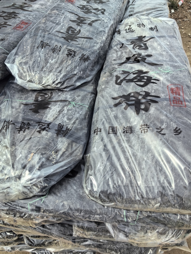 干海带，90公分干海带