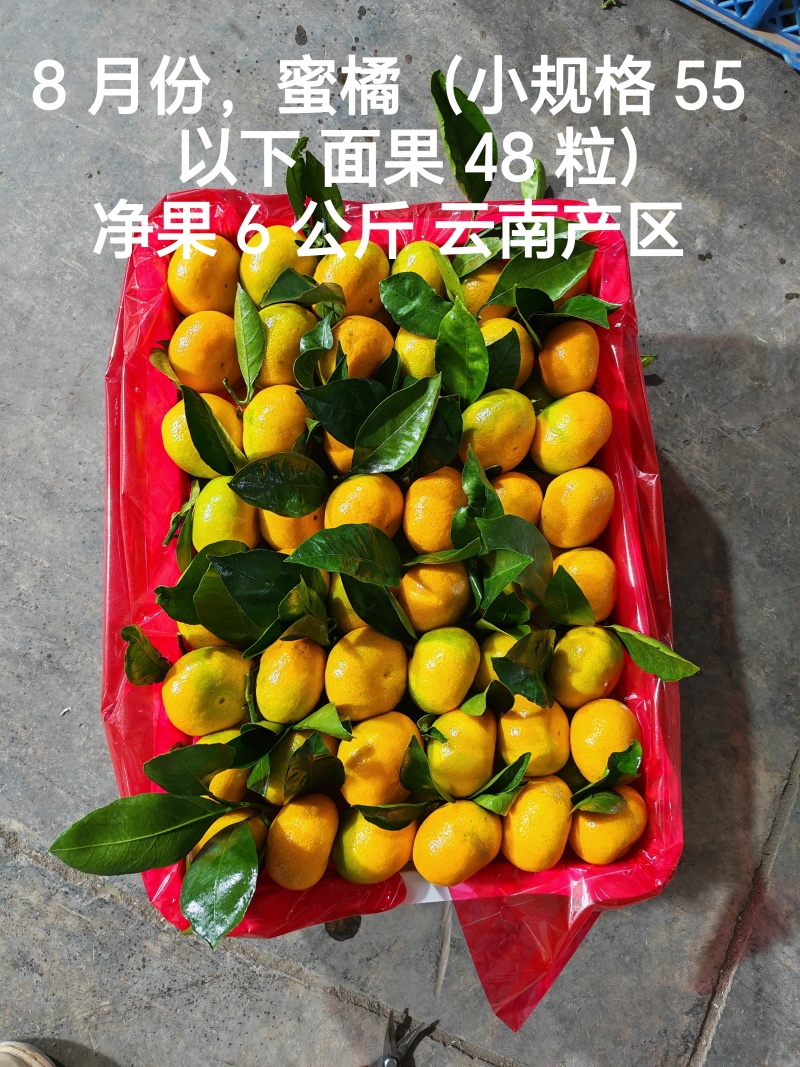 【柑橘出口】蜜橘出口有完整出口资质出口俄罗斯中亚东南亚