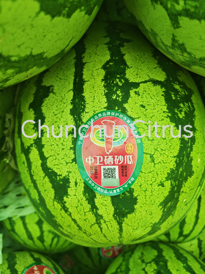硒砂瓜品质三包包甜包熟包赔一手货源产地直发