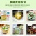 广东香水黄柠檬一件代发