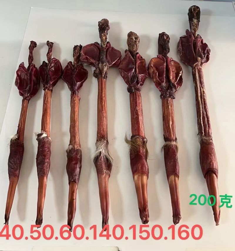 纯正新鲜鹿鞭保真保纯