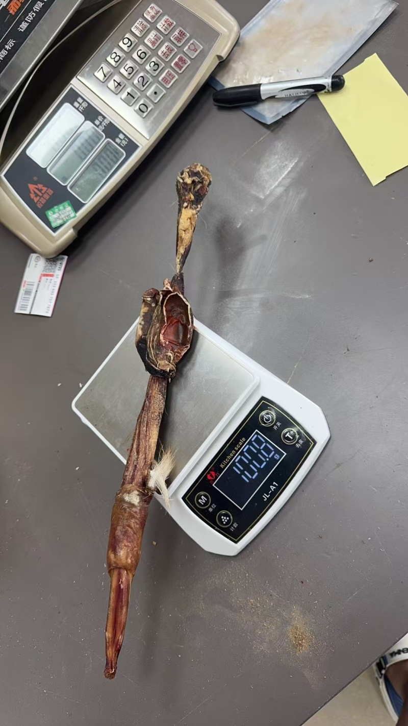 纯正新鲜鹿鞭保真保纯
