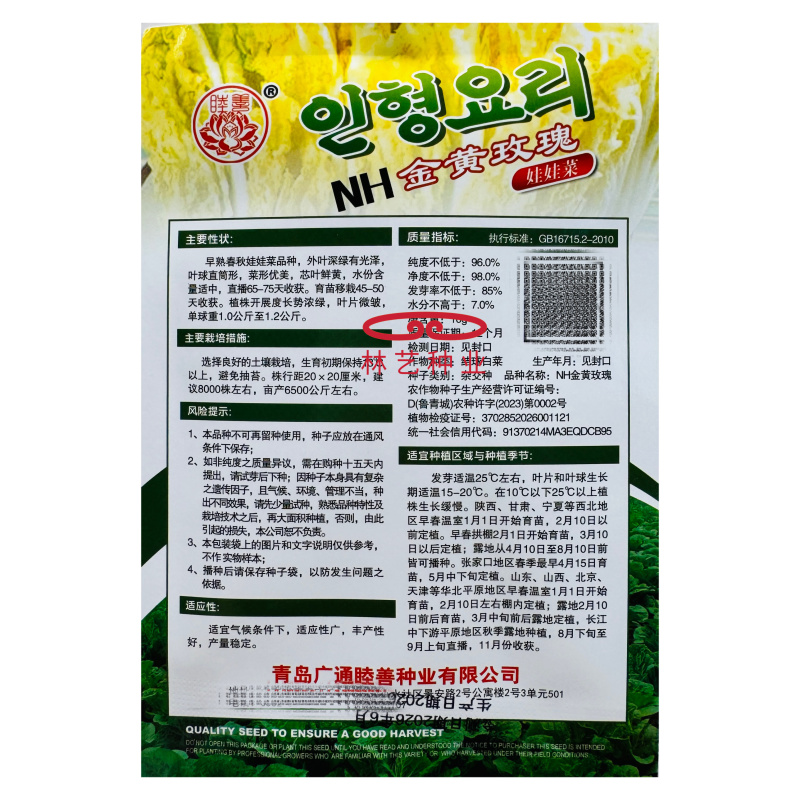 黄金玫瑰韩国引进杂交奶油娃娃菜种子小型内叶金黄生长快