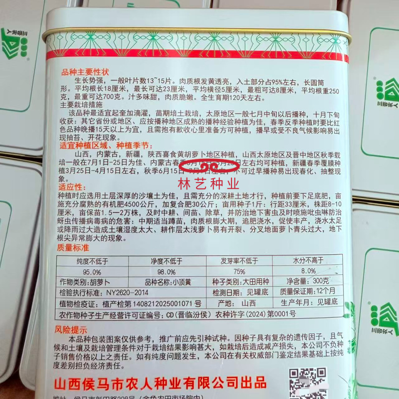 精品小顶黄胡萝卜种子生吃水果萝卜种籽齐头黄高产春秋季蔬菜