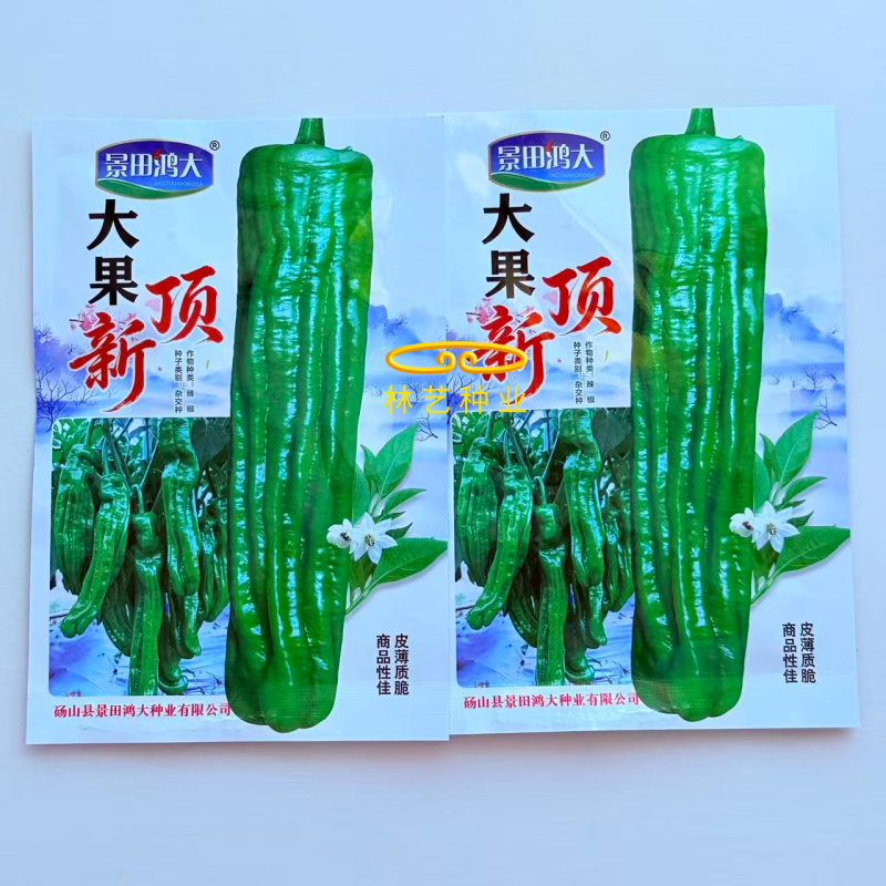 大果顶新竖条纹薄皮青椒种子齐头马嘴形味辣皮薄褶皱多抗病