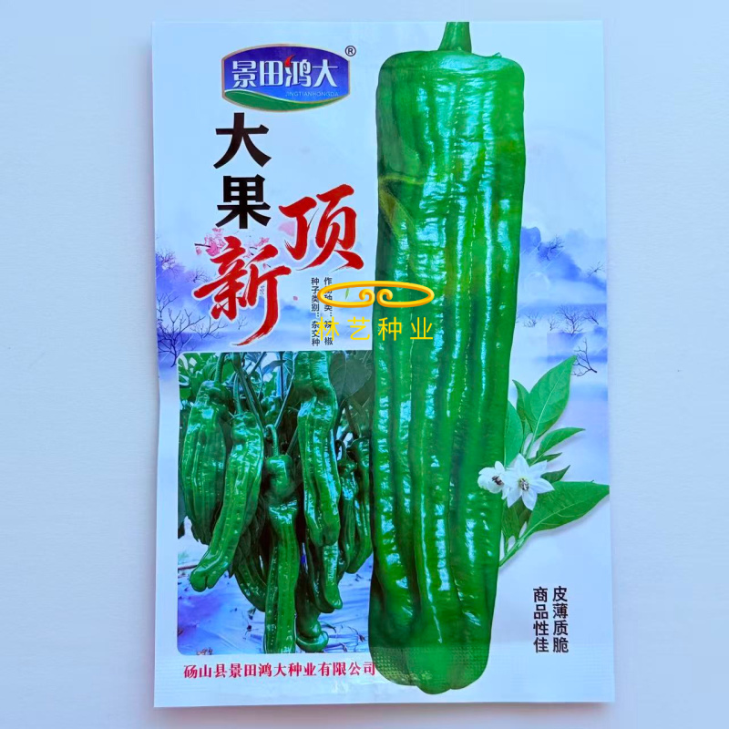 大果顶新竖条纹薄皮青椒种子齐头马嘴形味辣皮薄褶皱多抗病