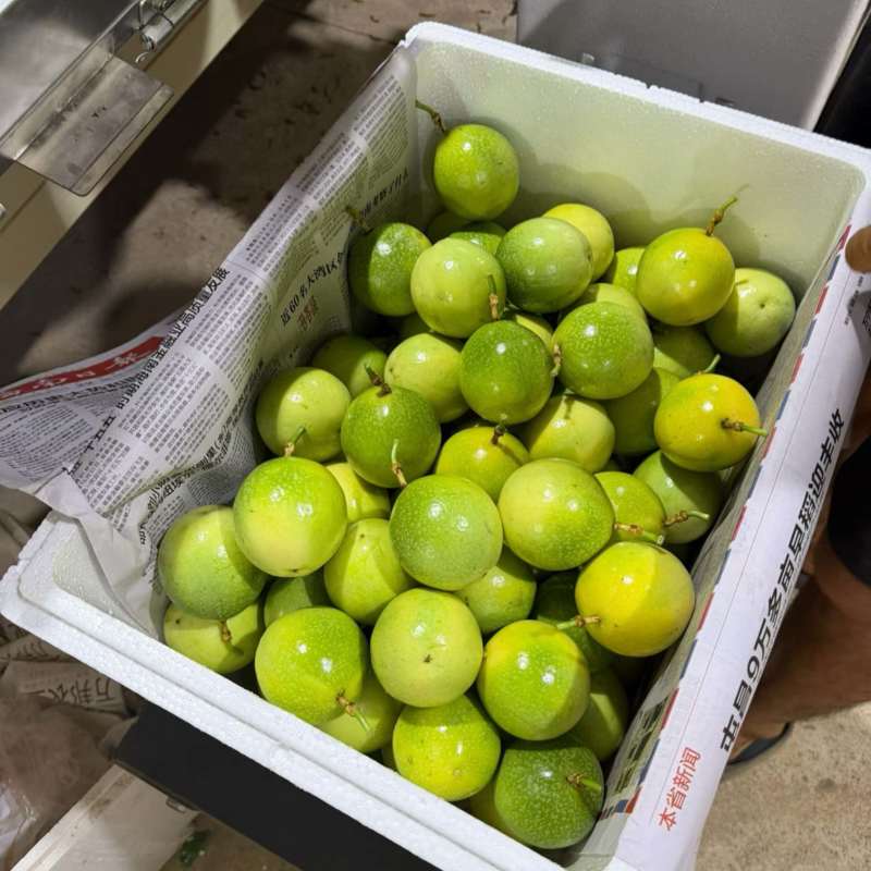 精品徐闻百香果