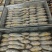 袋装小黄鱼福建宁德新鲜小黄花鱼品质保证一手货源欢迎来电咨询