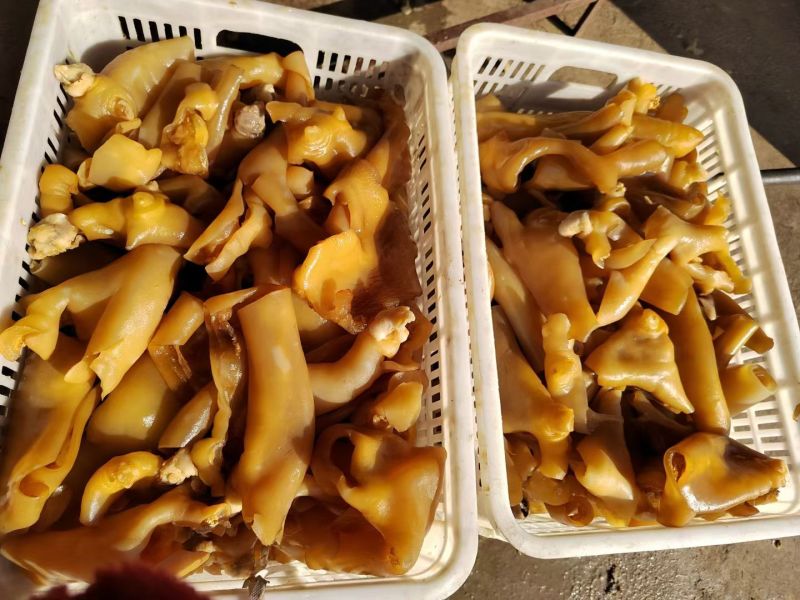 【熟牛杂】全熟小角原味，酱香牛蹄皮，厂家直销，手续齐全