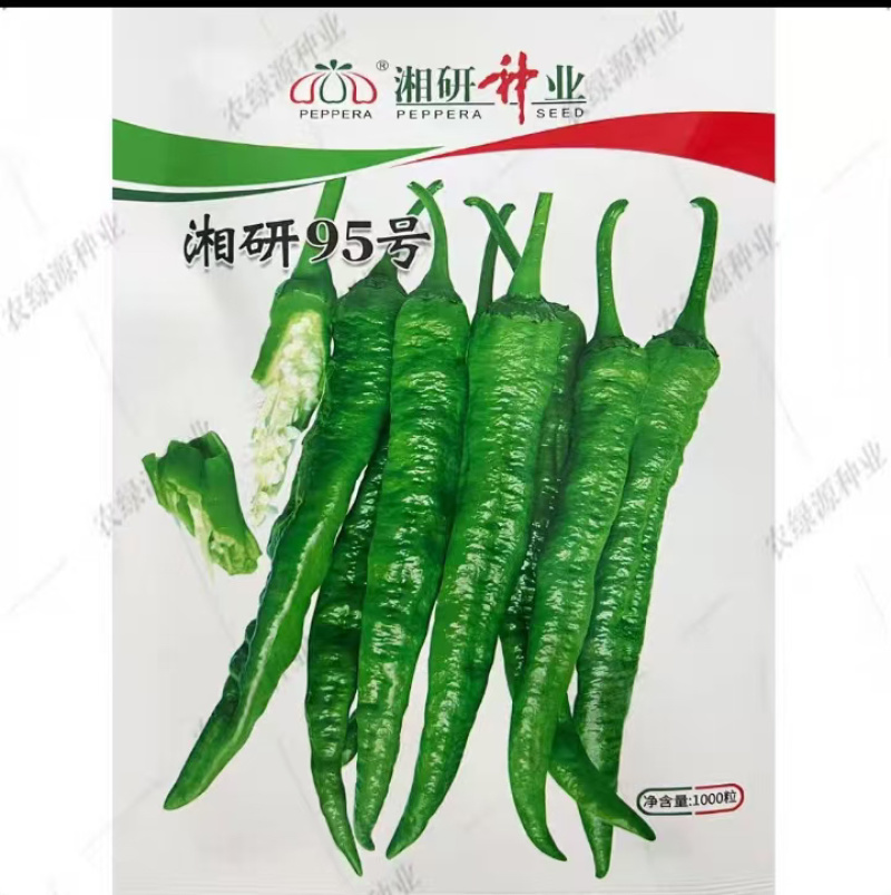 辣椒，湘研系列，95号55号，大量有货产地直发湖南江永