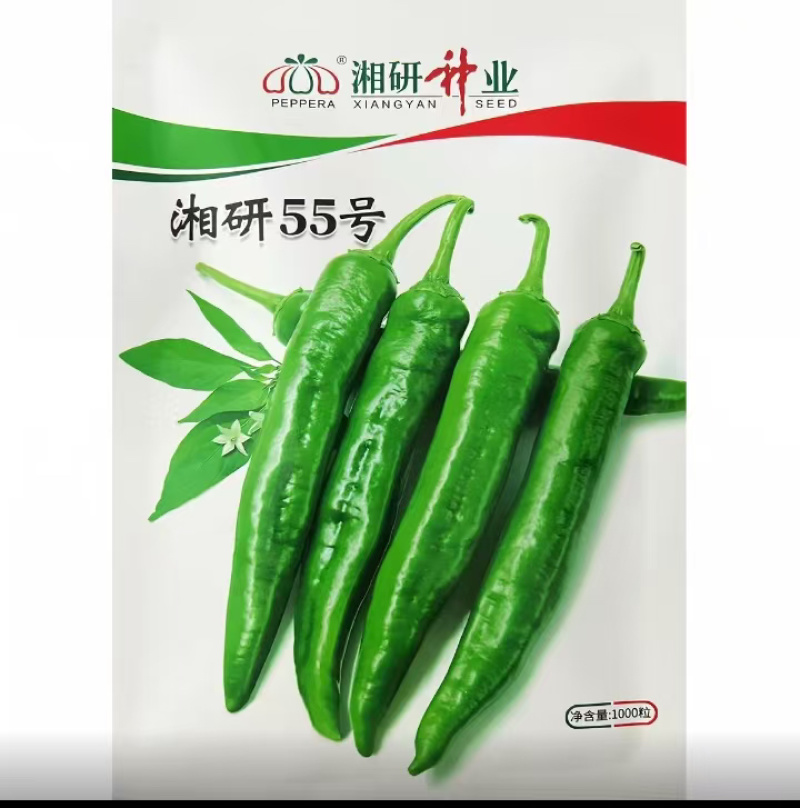 辣椒，湘研系列，95号55号，大量有货产地直发湖南江永