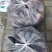 黑总统黑布林李子/金秋红/奥李十四/口感脆甜/可视频看货