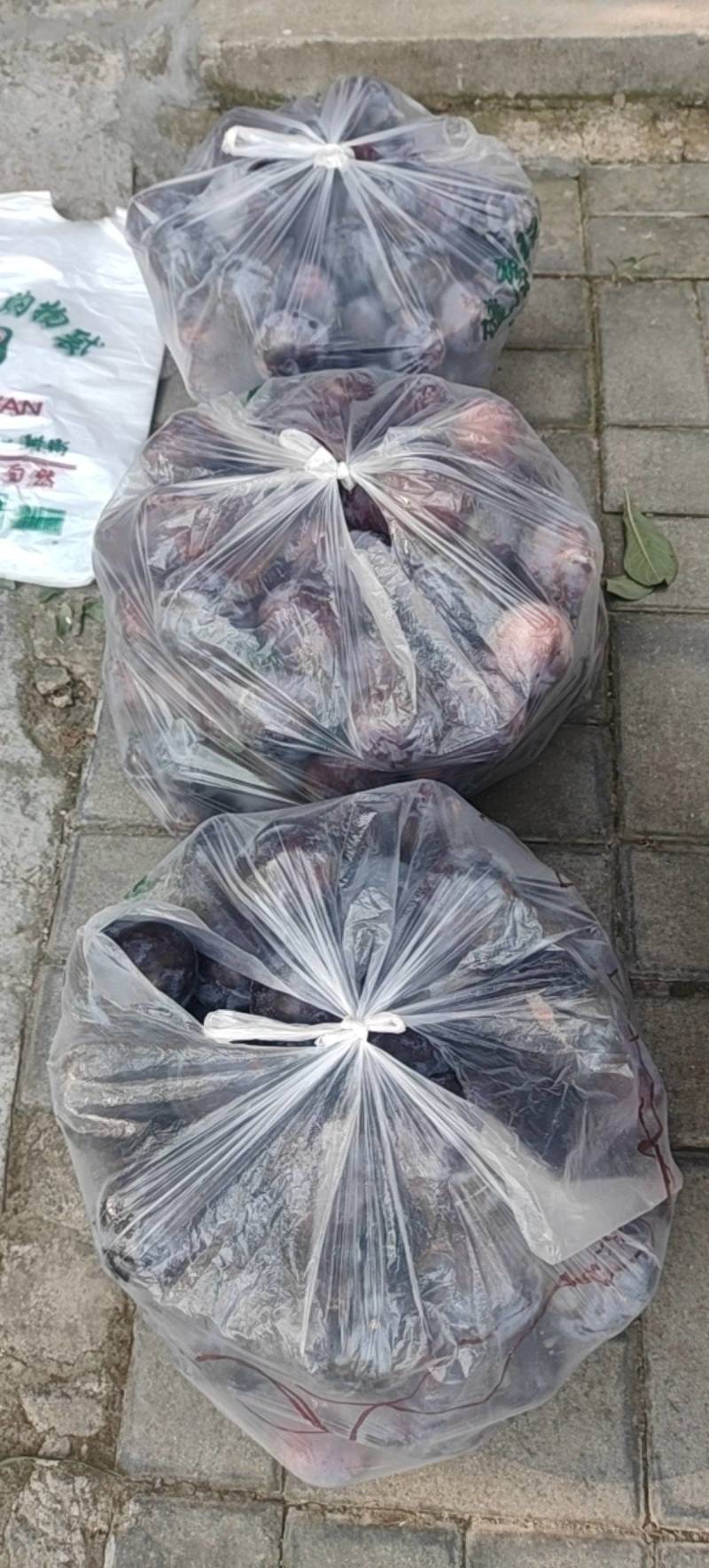 黑总统黑布林李子/金秋红/奥李十四/口感脆甜/可视频看货