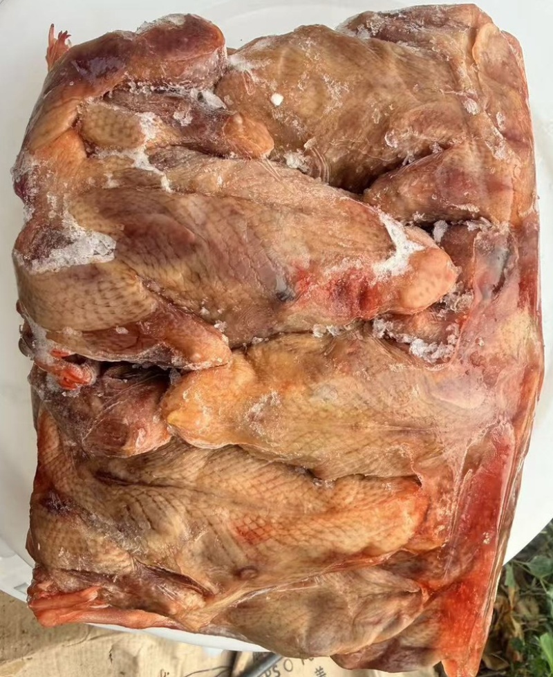 二级半净膛乳鸽6-7两