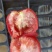 批发西红柿