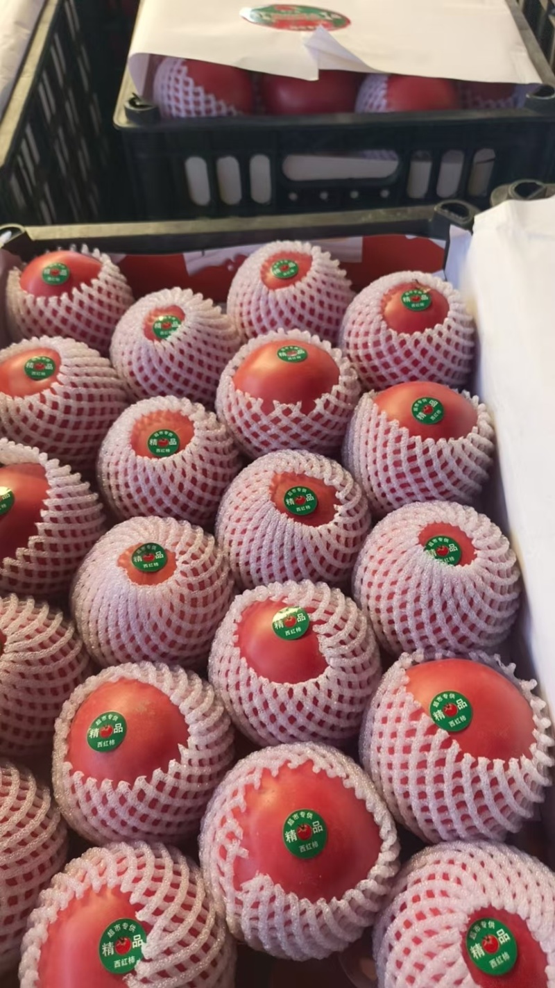 批发西红柿
