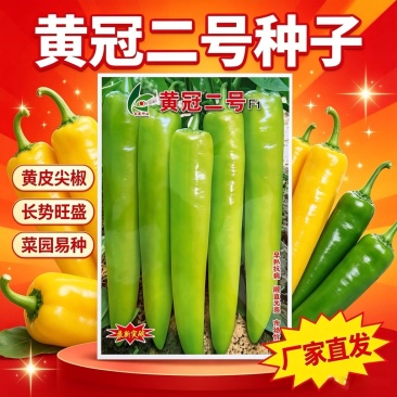 黄冠二号黄皮尖椒种子早熟大果纯黄皮特长牛角椒种子高产抗病