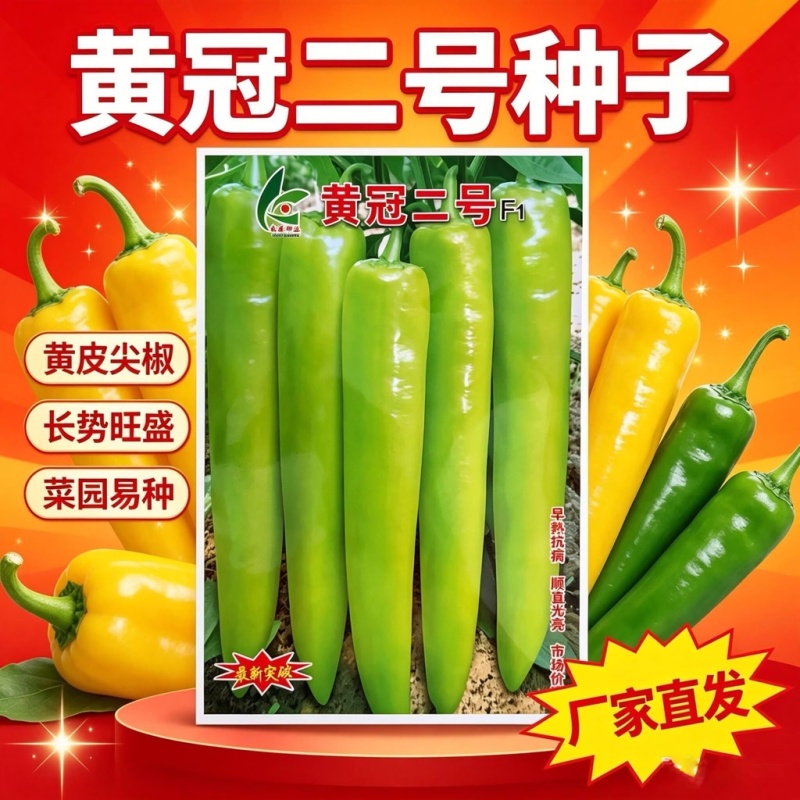 黄冠二号黄皮尖椒种子早熟大果纯黄皮特长牛角椒种子高产抗病