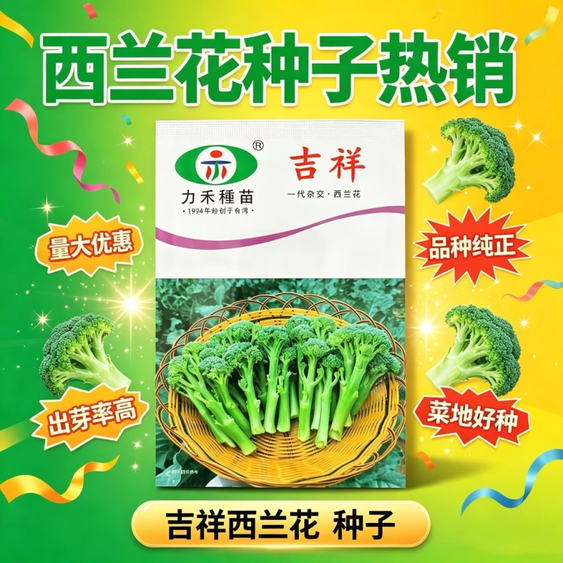 吉祥西兰苔种子西兰芥兰芥蓝青花菜芥兰基地优选蔬菜种子