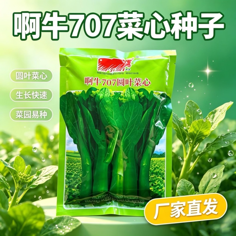 啊牛707圆叶菜心种子抗病菜苔粗壮整齐生长快大田基地种