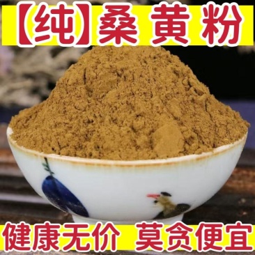 【纯】桑黄粉正宗中药材桑黄粉桑黄菰桑桑耳粉批发包邮