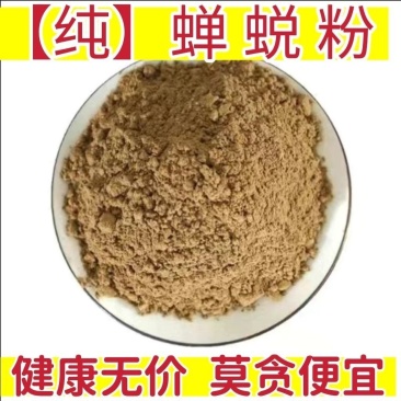 【纯】蝉蜕粉中药材知了壳粉虫蜕粉现磨批发包邮