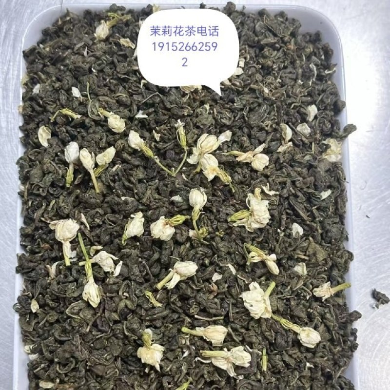 茉莉花茶春螺2窨一压
