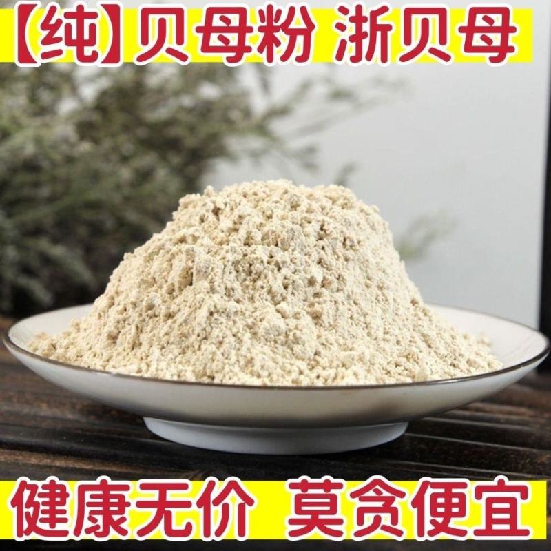 大贝母粉浙贝粉现磨浙贝母粉天然无硫中药材贝母枇杷膏包邮批
