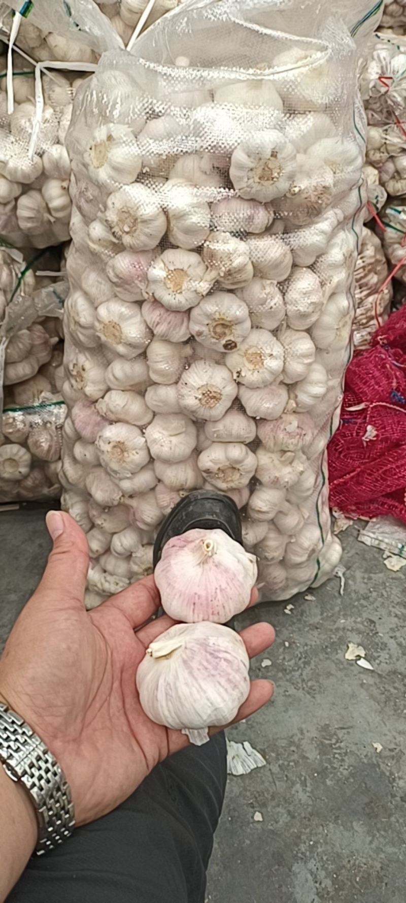 大蒜