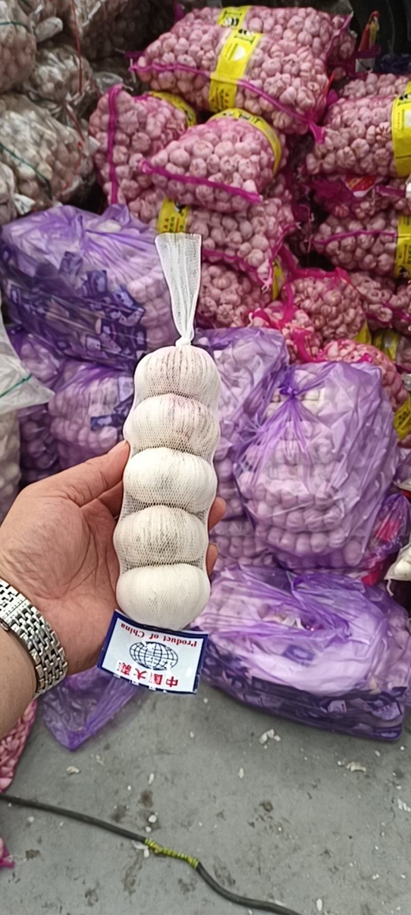 网串蒜