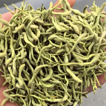 金银花