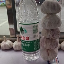 网串蒜