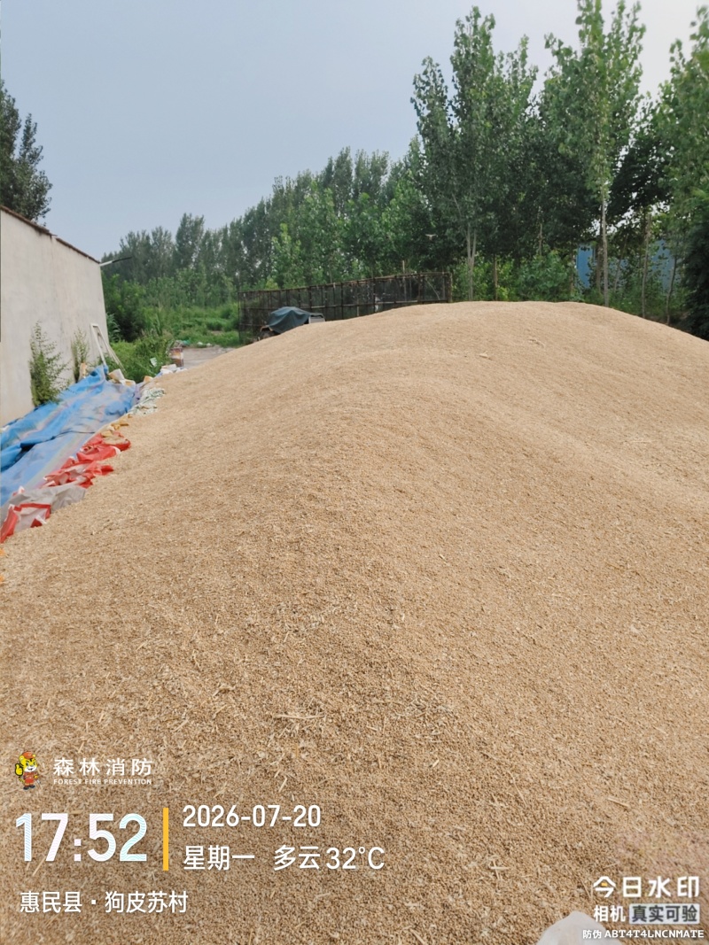 轮选49就你小麦