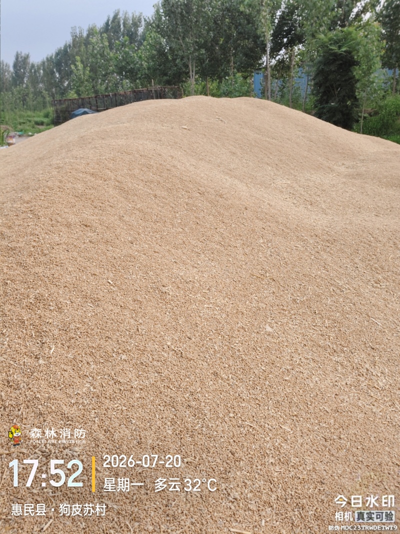 轮选49就你小麦