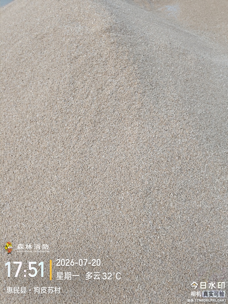 轮选49就你小麦