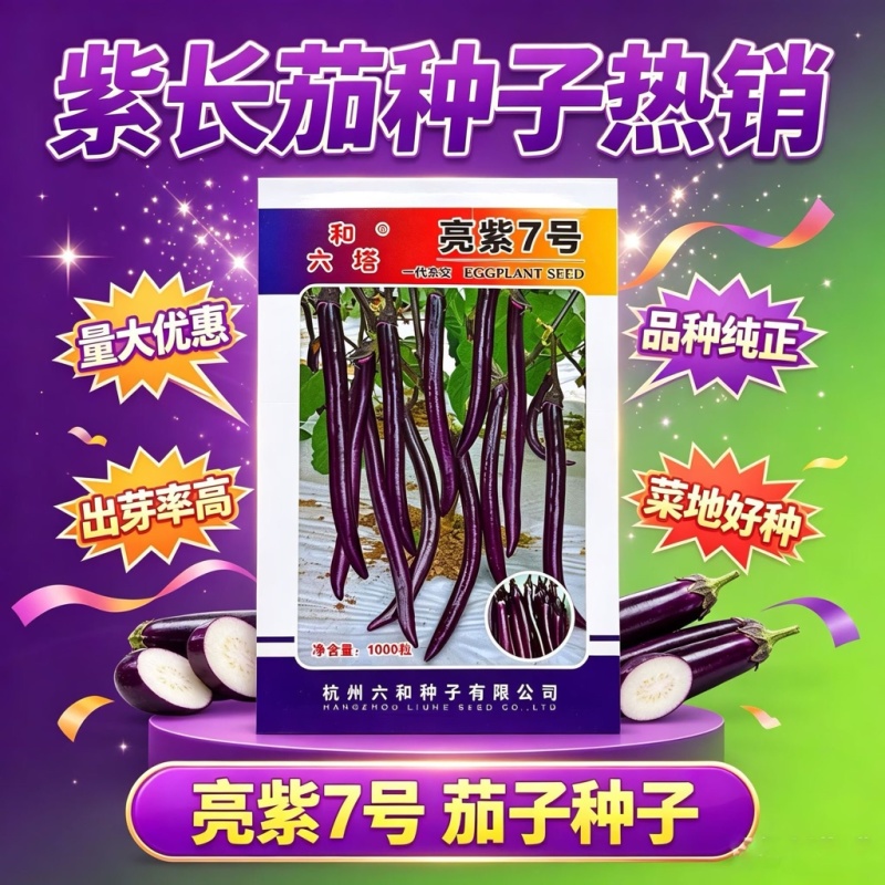 亮紫7号线茄种子中早熟红茄种籽果面紫红皮薄光滑无限生长
