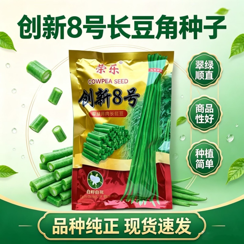 创新8号豇豆种子白籽白花翠绿厚肉长豆角种籽双荚率高基地用