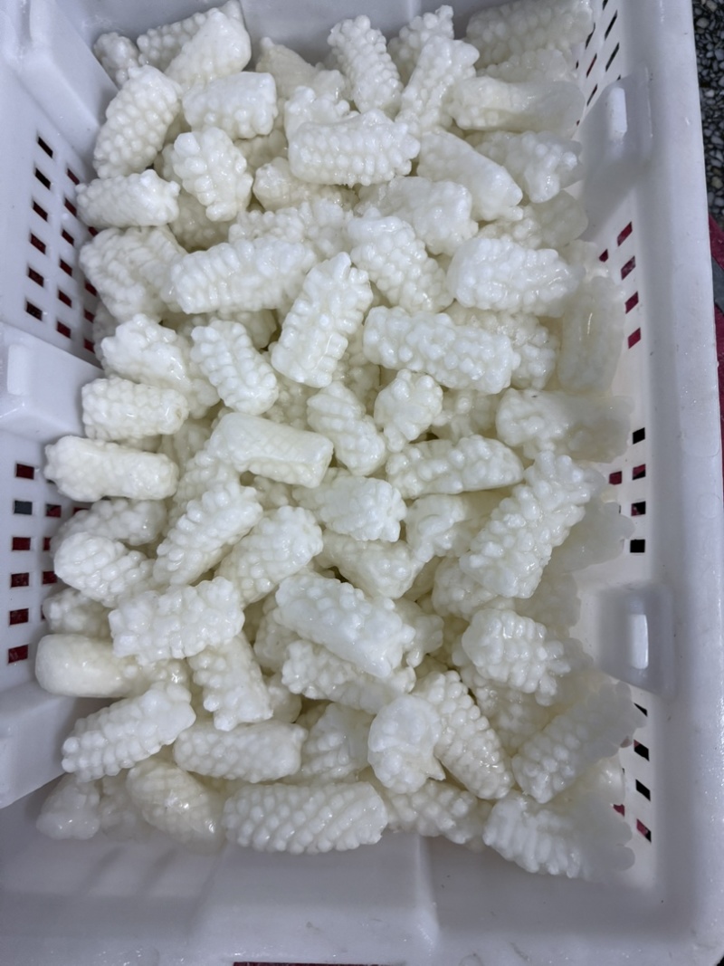 鱿鱼花