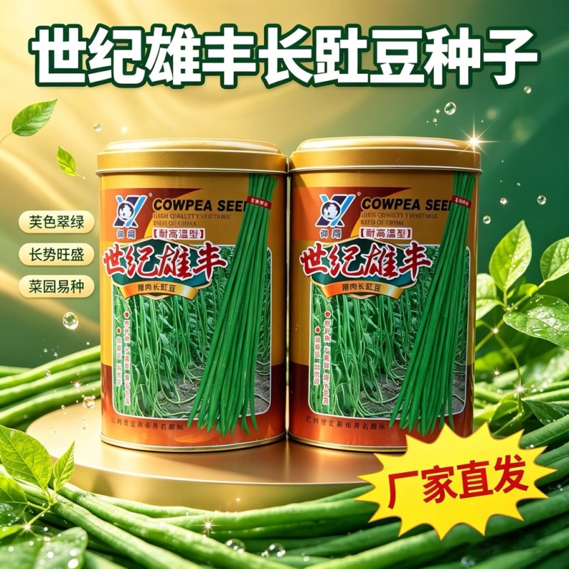 世纪雄丰豇豆种子耐高温早中熟油绿荚豆角种子耐老化大田基地