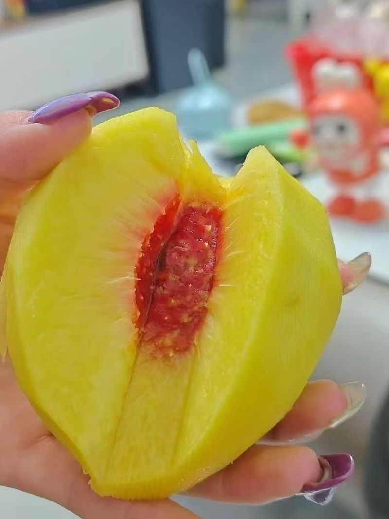 湖北锦绣黄桃大量上市，皮毛好，甜度高